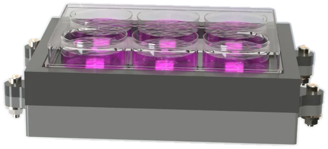 Render of the 6-well platform: a grey housing with a 6-well culture plate of magenta medium seated on top.